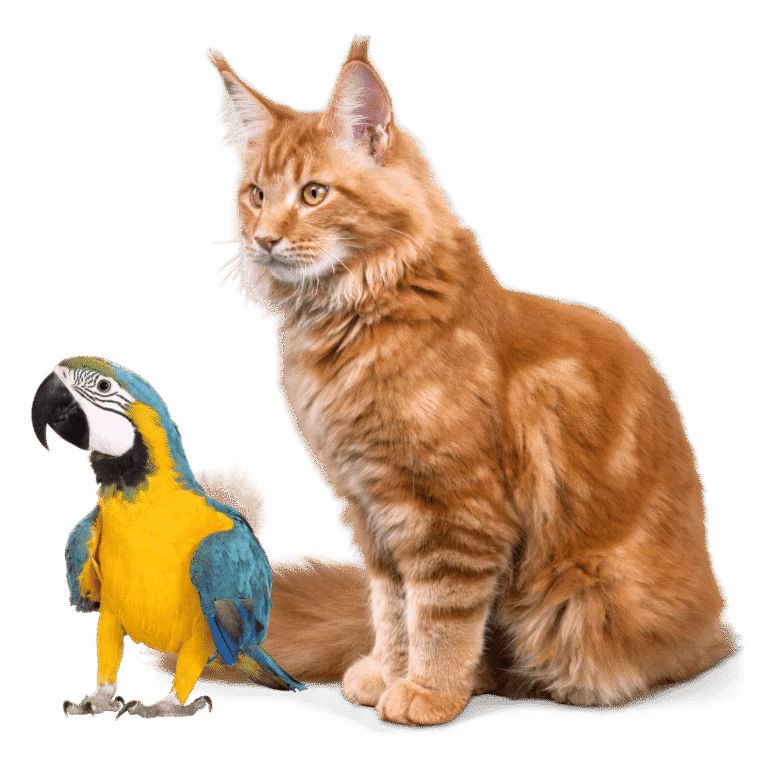 Veterinary Medicines